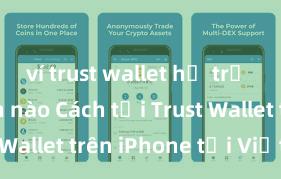 ví trust wallet hỗ trợ giao dịch nào Cách tải Trust Wallet trên iPhone tại Việt Nam