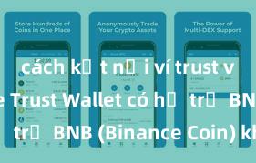 cách kết nối ví trust với binance Trust Wallet có hỗ trợ BNB (Binance Coin) không?